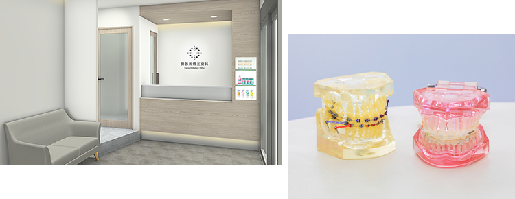 信頼と安心の矯正治療患者様に寄り添う治療計画を