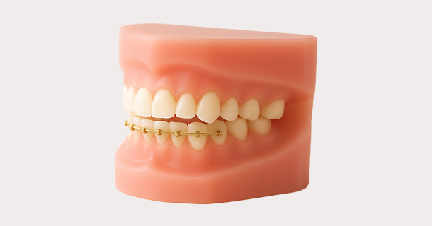 ハーフリンガル